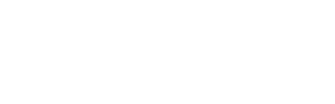 175 Jahre ZLB Logo